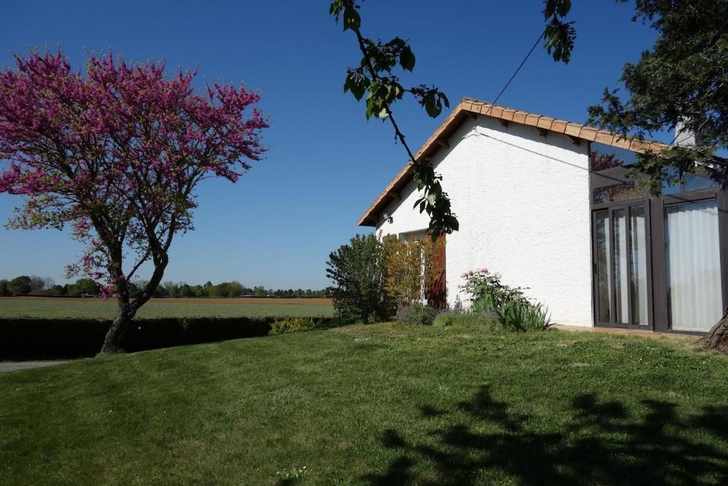 A Proximite Du Futuroscope Et Des Marais Poitevin Villa Rouille Exterior photo